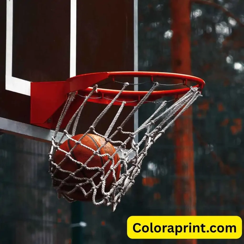 Best NBA Quotes