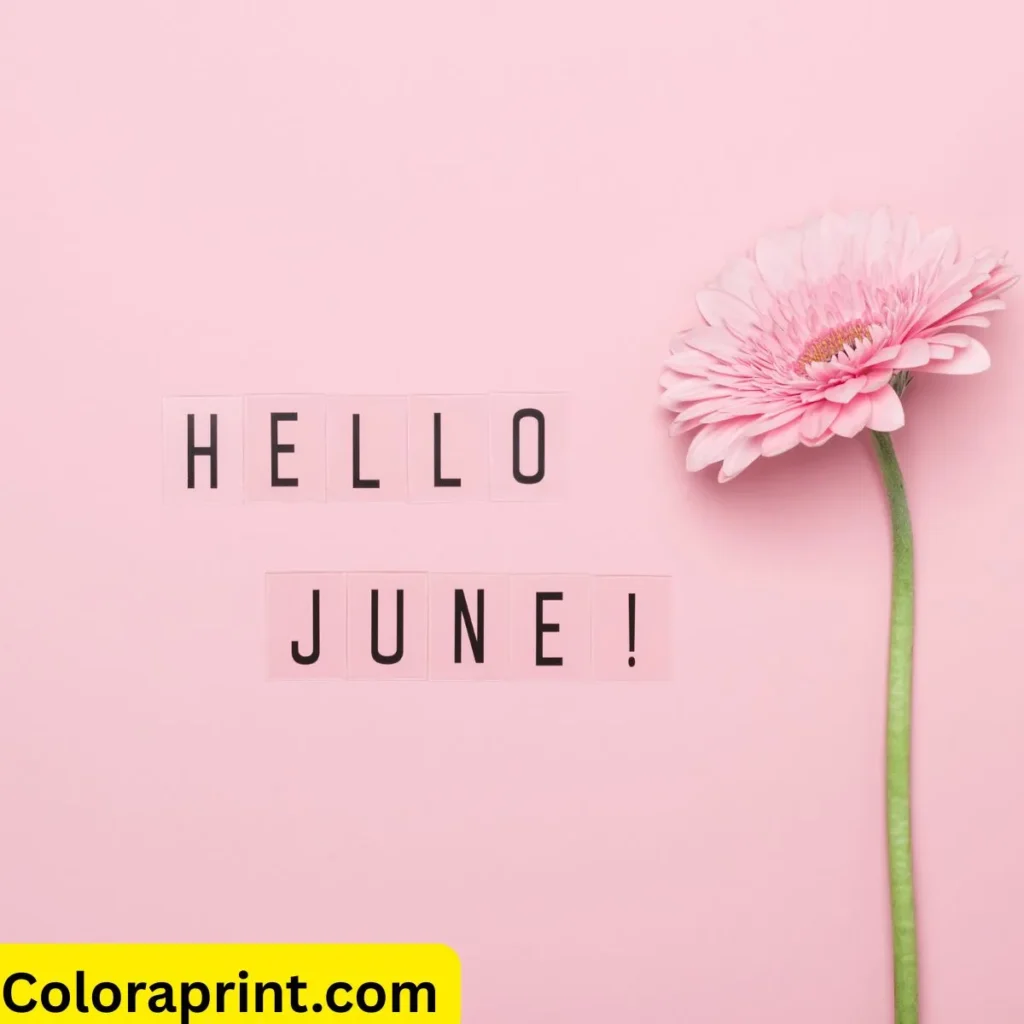 Hello June Quotes