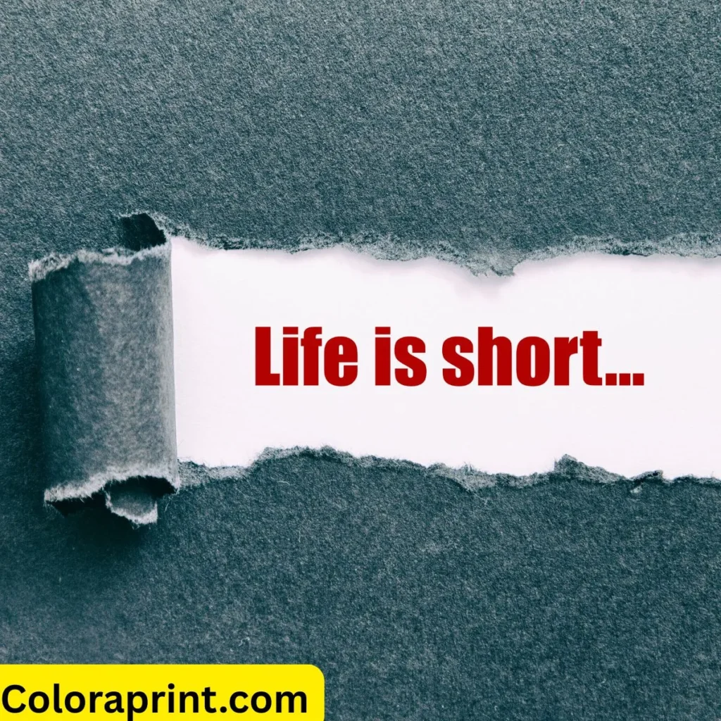 Living Life Quotes Short