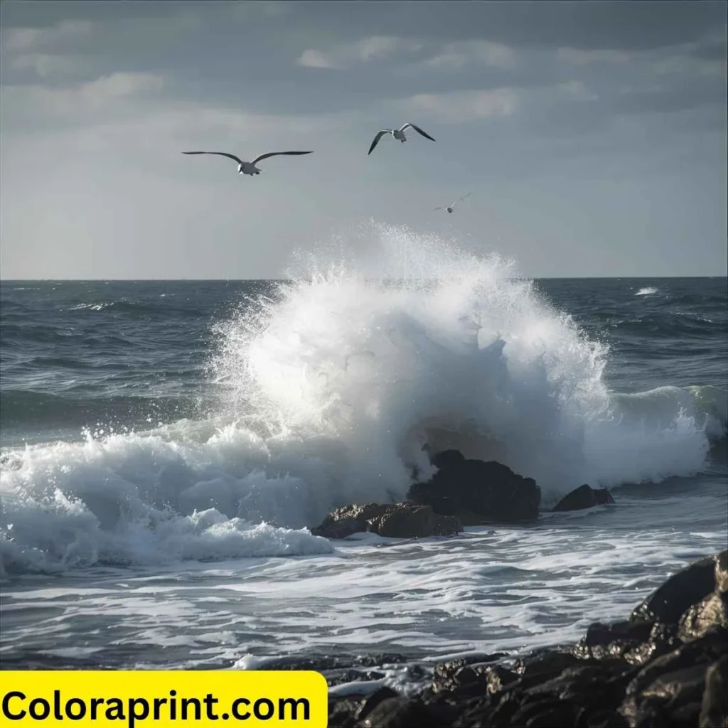 Quotes About the Ocean and Life