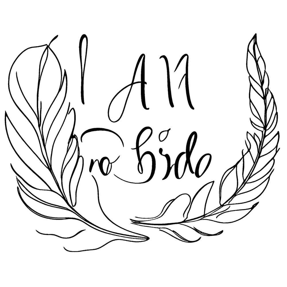 "I Am No Bird" β Jane Eyre quote with feathers