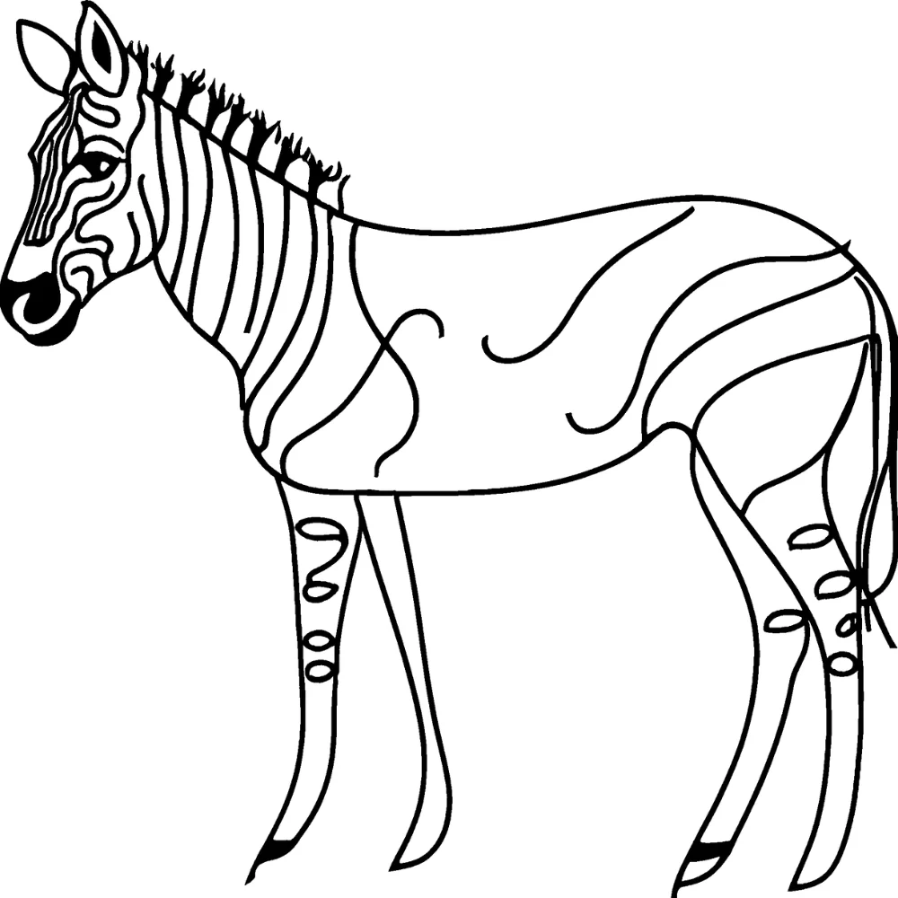 Zebra Printable Coloring Pages