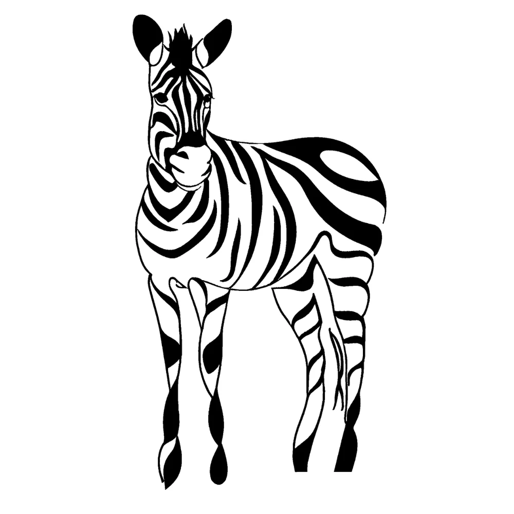 Zebra with sunset shadows