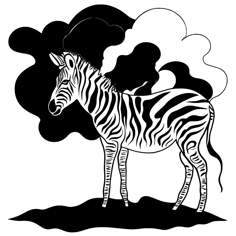 Zebra in a storm (dramatic lighting)