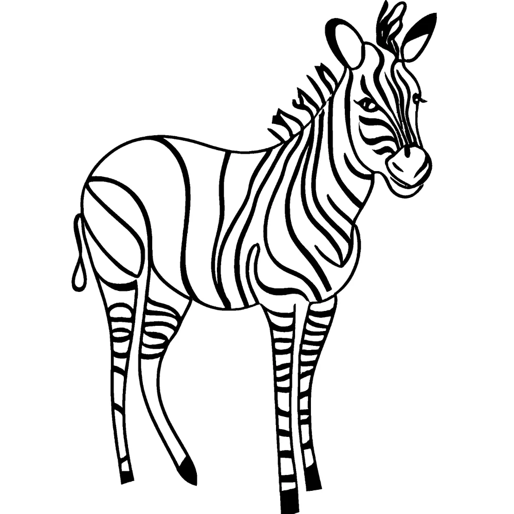 Zebra with heart-shaped stripes