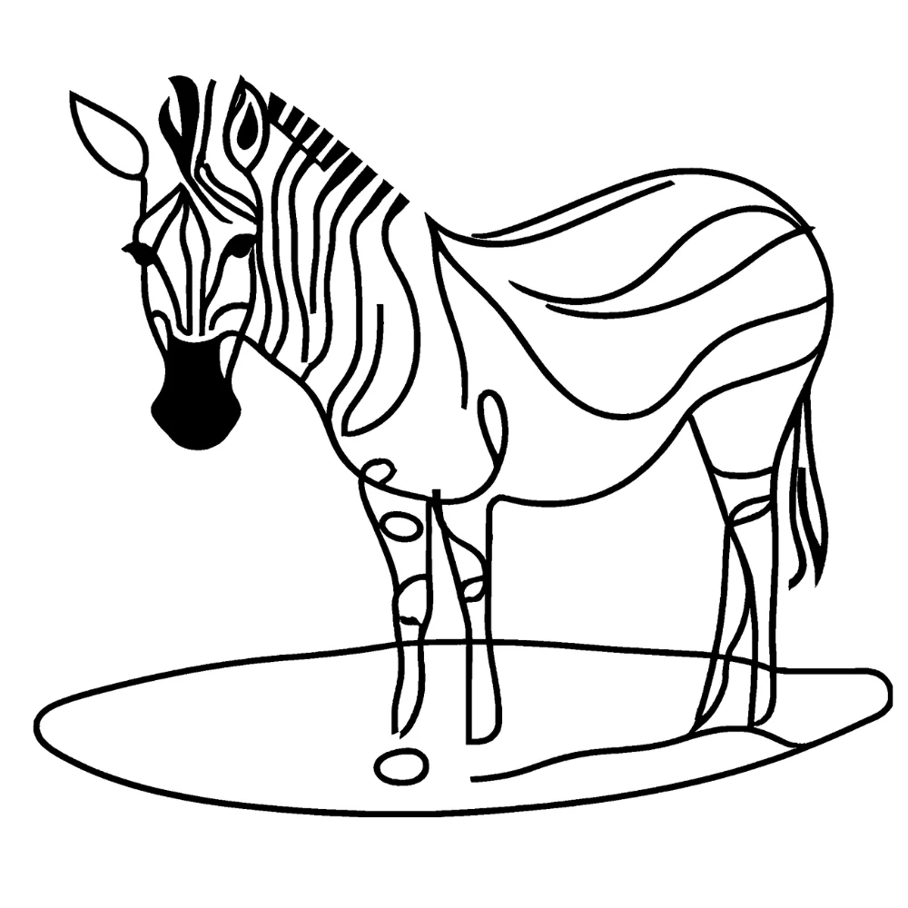 Zebra at a watering hole