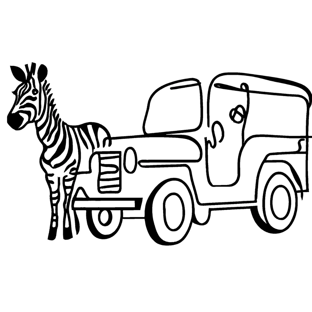 Zebra with a safari jeep