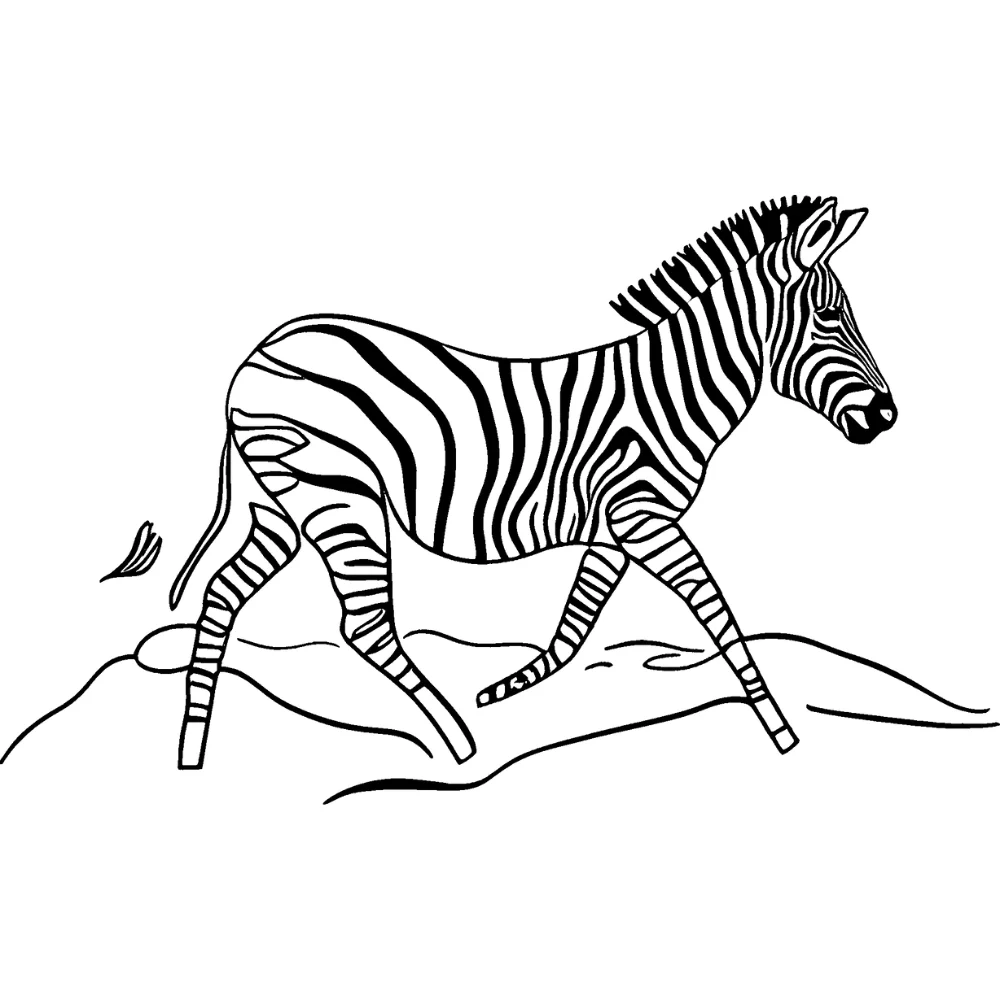 Zebra in a winter scene (snow stripes!)