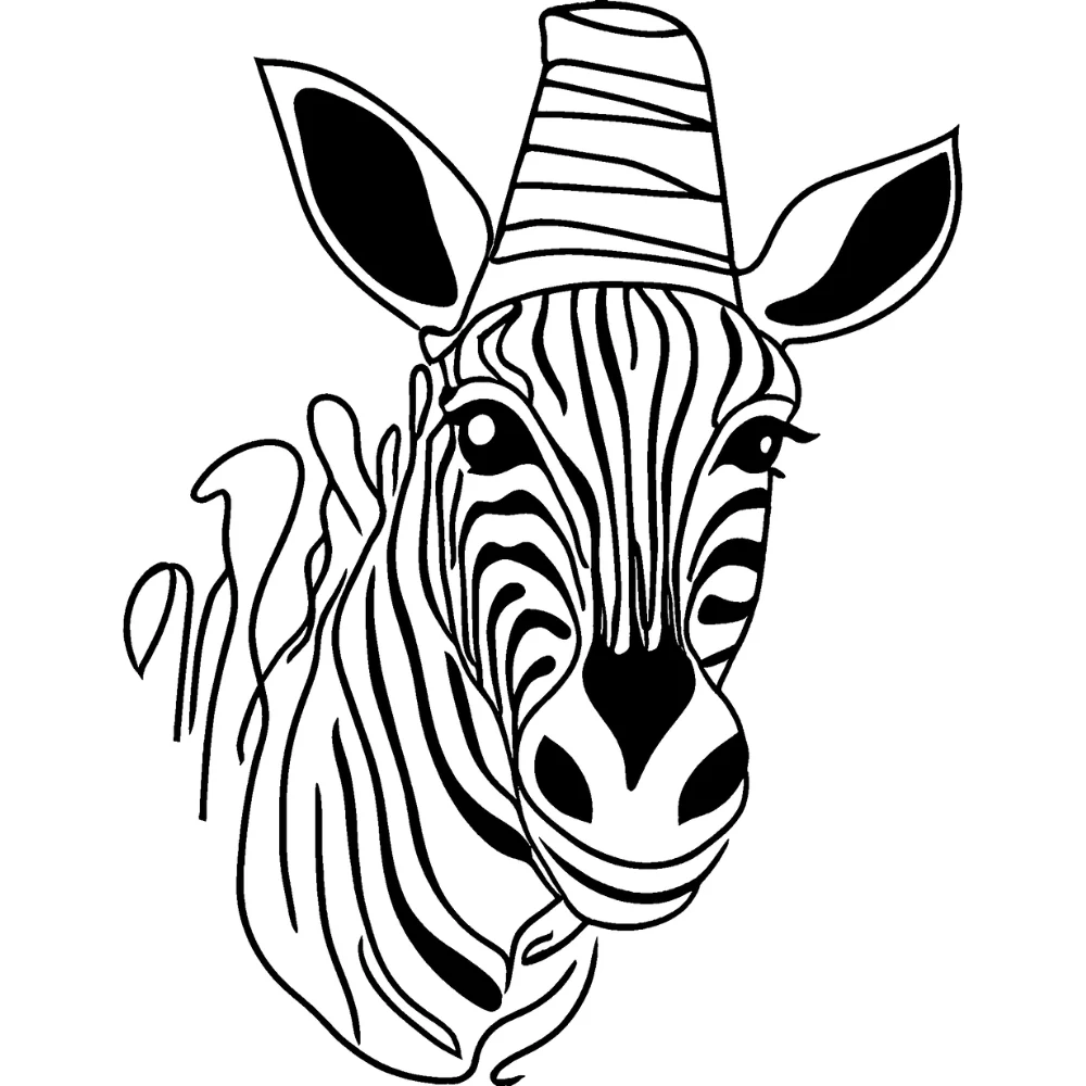 Zebra with a funny hat