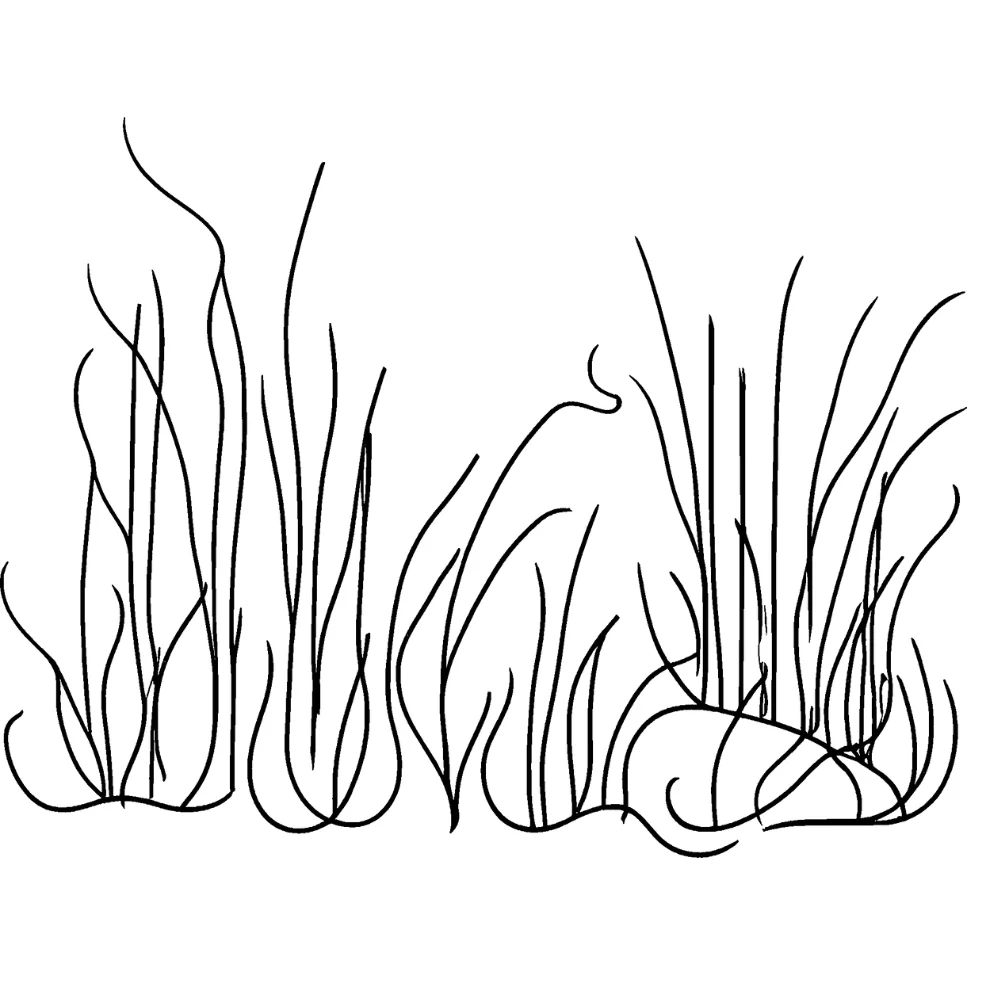 Classic: Black & white (+ green grass)