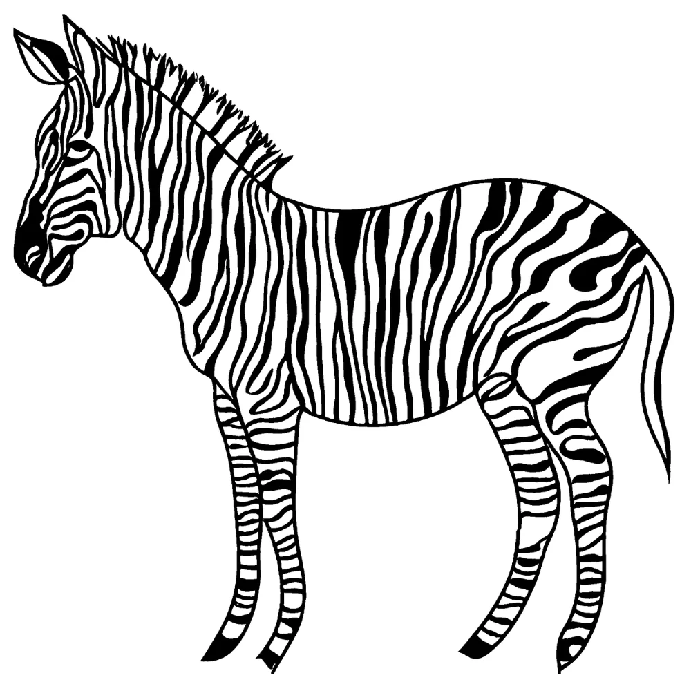 Camouflage zebra (army green/brown)