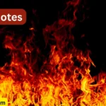 Fire Quotes