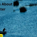 Quotes About Water