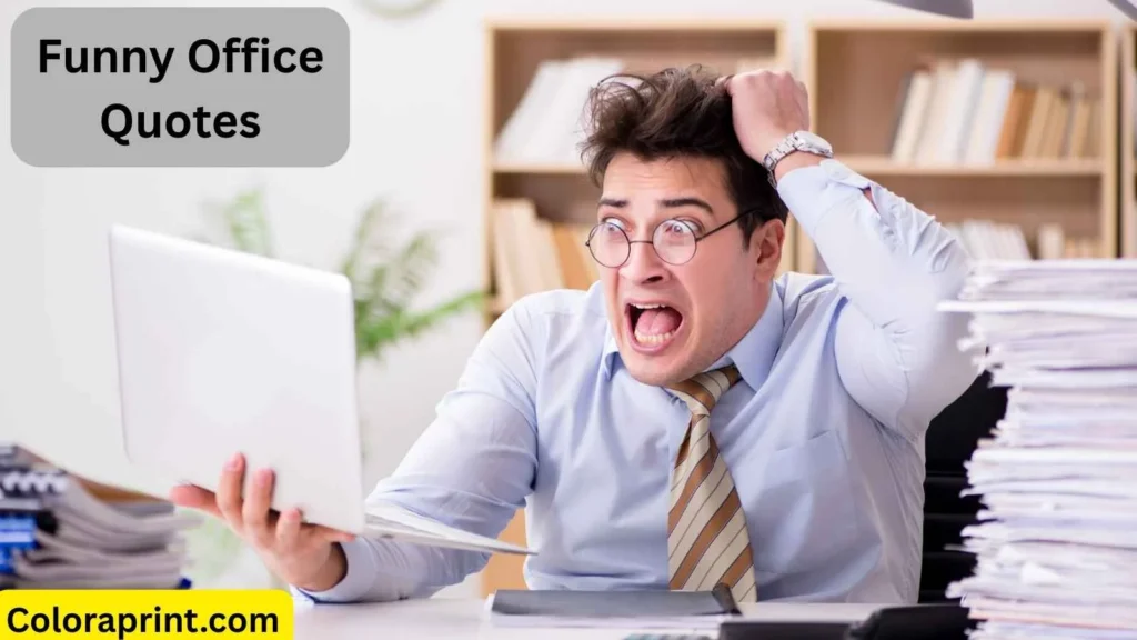 Funny Office Quotes