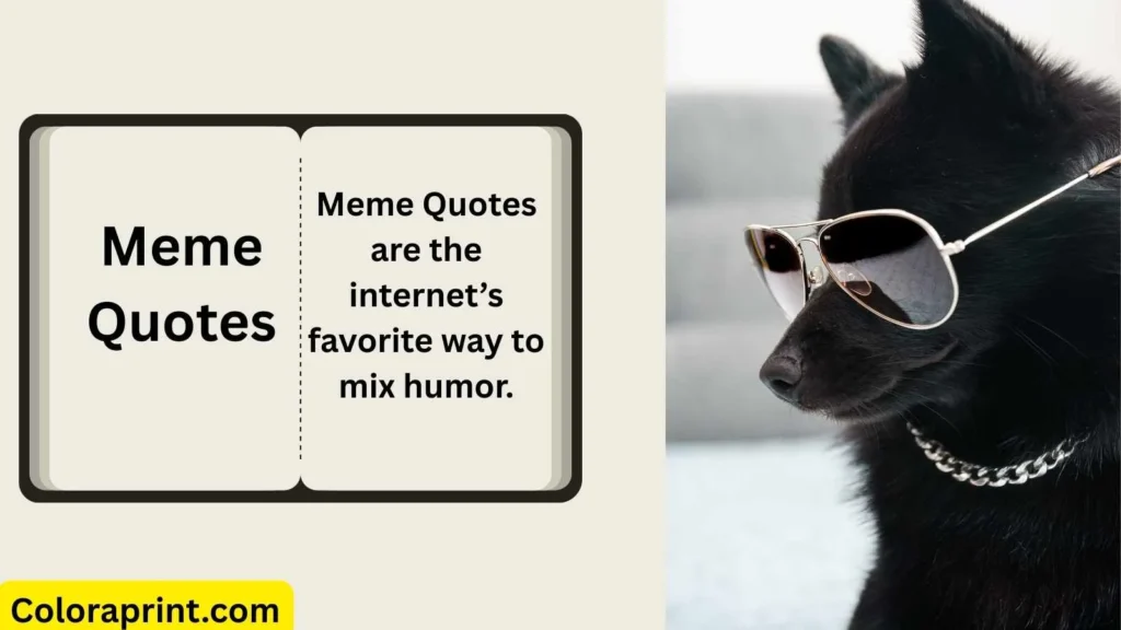 Meme Quotes