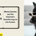 Meme Quotes