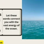 Quotes About the Ocean
