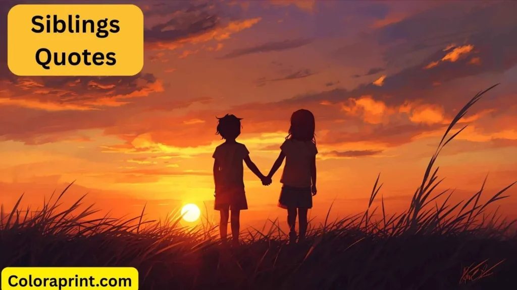Siblings Quotes