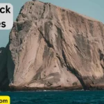 The Rock Quotes