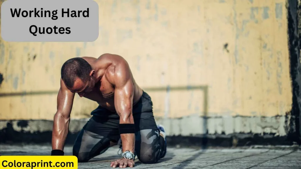 Working Hard Quotes